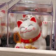 初二女生英语数学